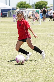 SFCblan2016g_jpfc_001