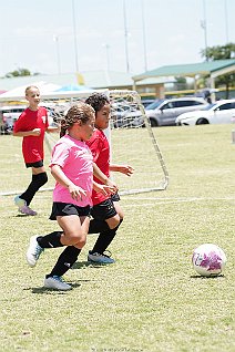 SFCblan2016g_jpfc_007