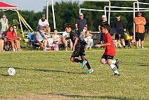 SFC_14b_14brom_008