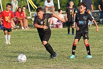 SFC_14b_14brom_016