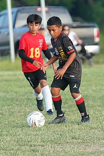 SFC_14b_14brom_018
