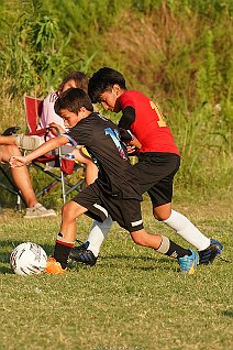 SFC_14b_14brom_019