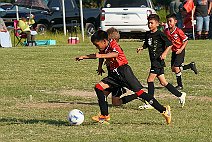 SFC_15_16b020