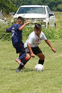 SFCmalc_13b_ufcwac_001