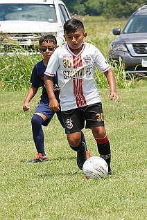 SFCmalc_13b_ufcwac_002