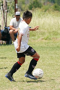 SFCmalc_13b_ufcwac_005
