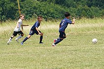 SFCmalc_13b_ufcwac_008