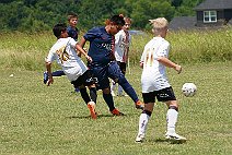 SFCmalc_13b_ufcwac_009