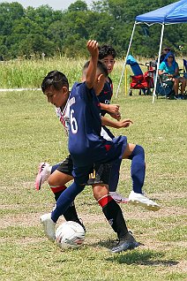 SFCmalc_13b_ufcwac_014