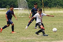 SFCmalc_13b_ufcwac_017