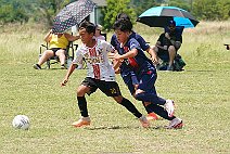 SFCmalc_13b_ufcwac_018