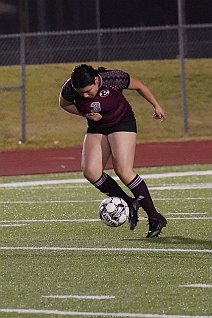 eh2425_gvsoc_cors_011