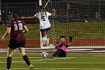 eh2425_gvsoc_cors_013