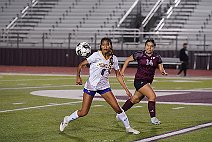 eh2425_gvsoc_cors_017