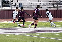 eh2425_gvsoc_ferris_003