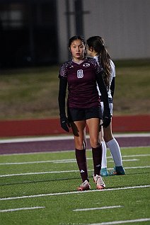 eh2425_gvsoc_ferris_008