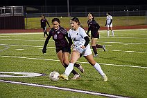 eh2425_gvsoc_ferris_012