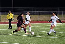 eh2425_gvsoc_ferris_013