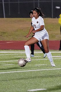 eh2425_gvsoc_ferris_018